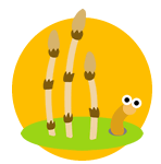 5���̃C���X�g